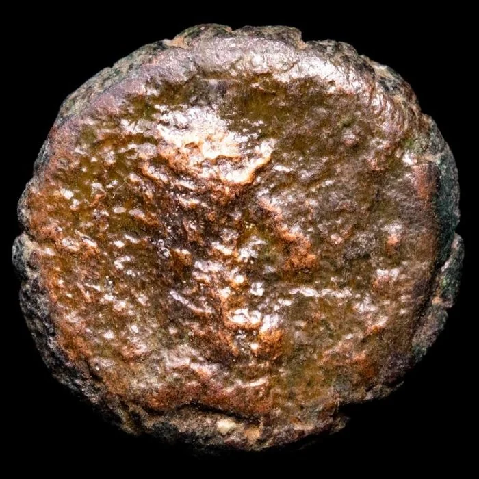 Ancient North Africa - Mauretania Unit ŠMŠ mint. Minted between 118 - 33 B.C. Six - pointed star flanked by grape bunch to left. ()