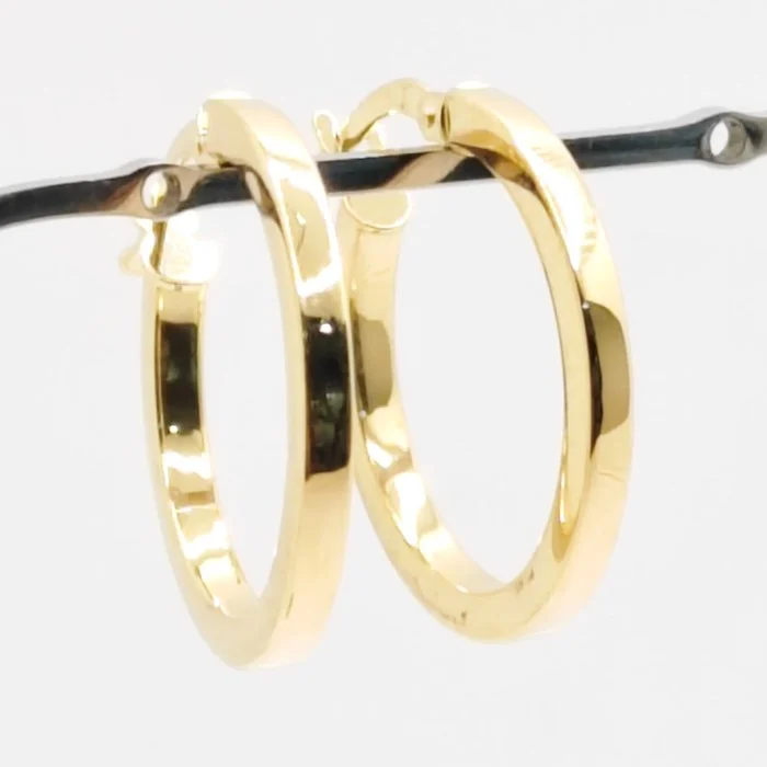 Earrings - 18 kt. Yellow gold