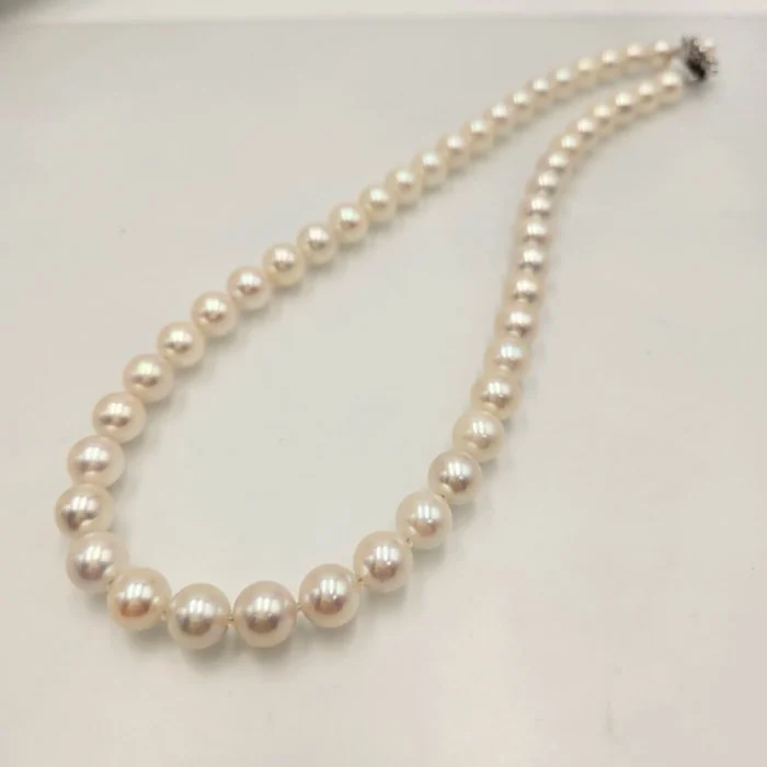 Necklace Silver Pearl - Akoya 8.5mm 17in