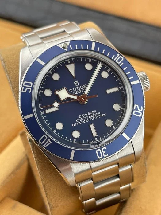 Tudor - Black Bay - 79030 - Men - 2020
